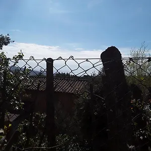A Schiera Nei Pressi Del Mare , Livorno Italien